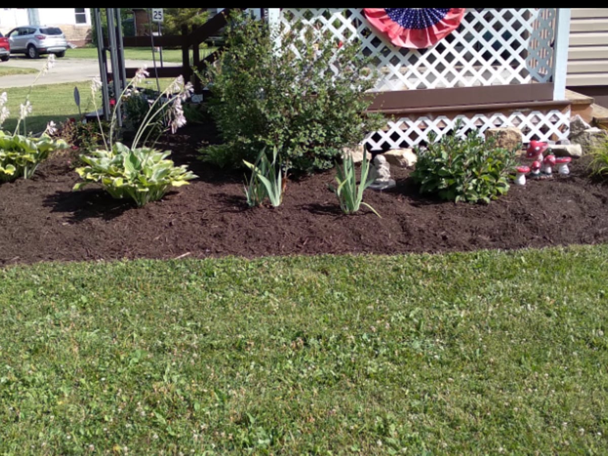 Fresh mulch and plants in a maintained landscape bed
