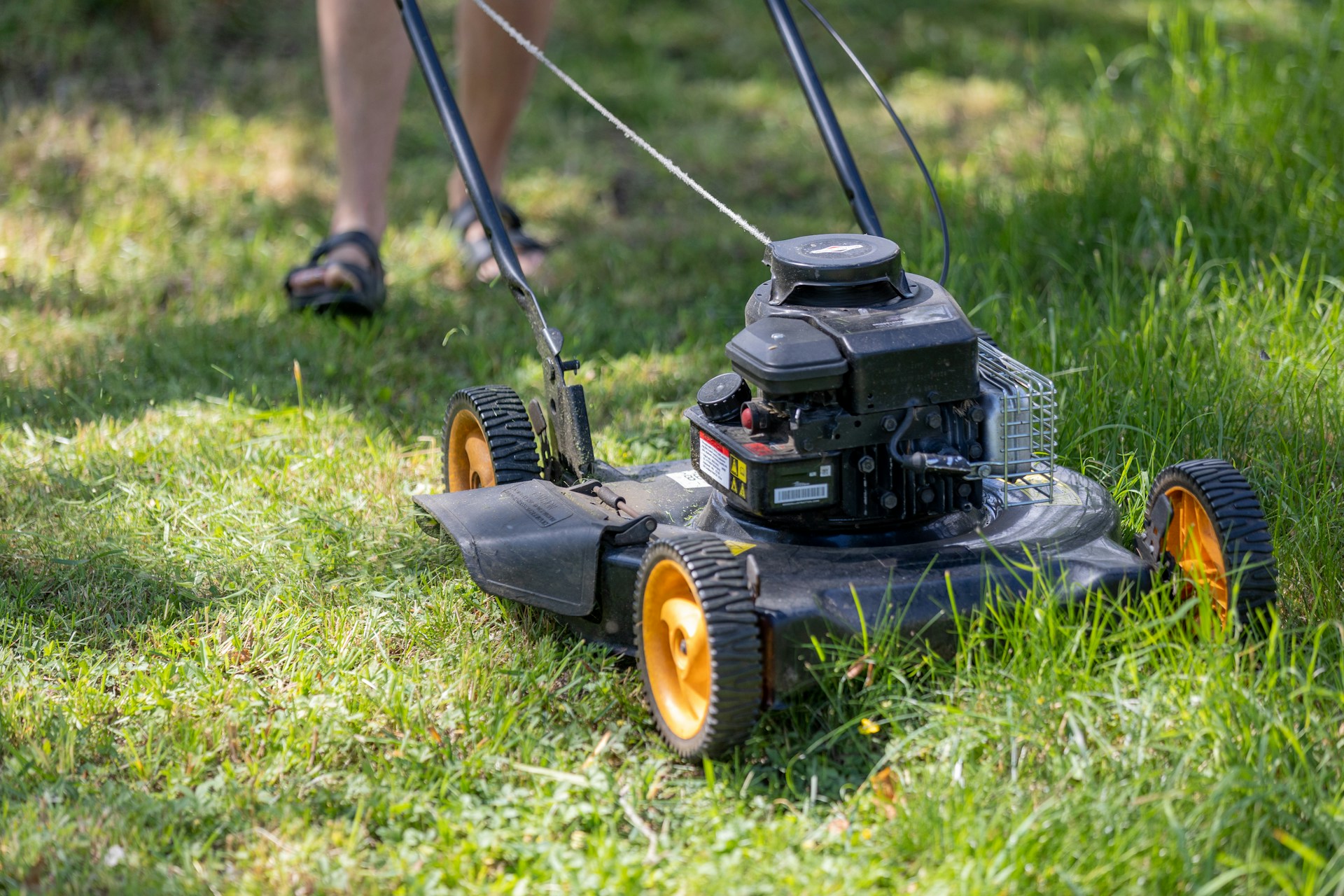 Professional lawn mowing service
